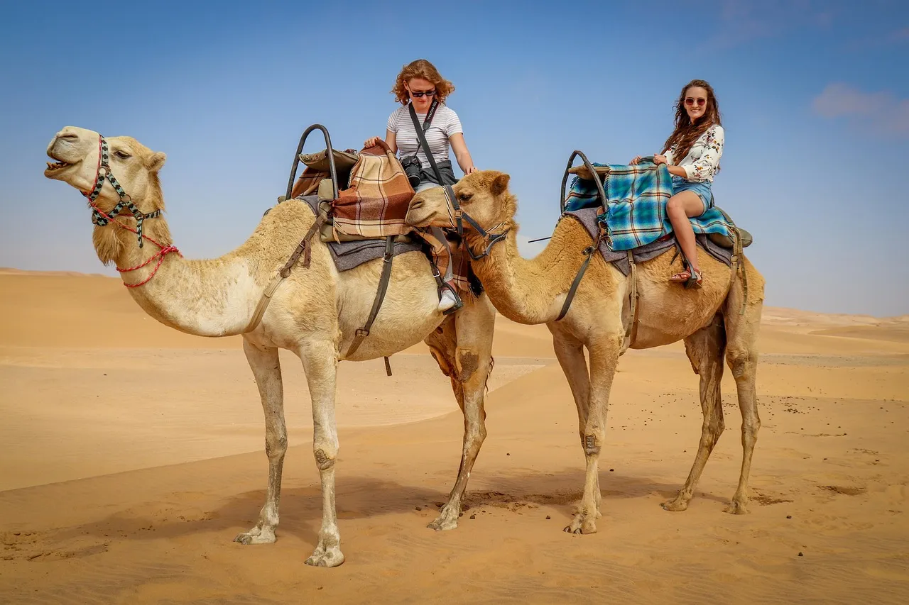 Premium Desert Safari Adventure with Private Transfer