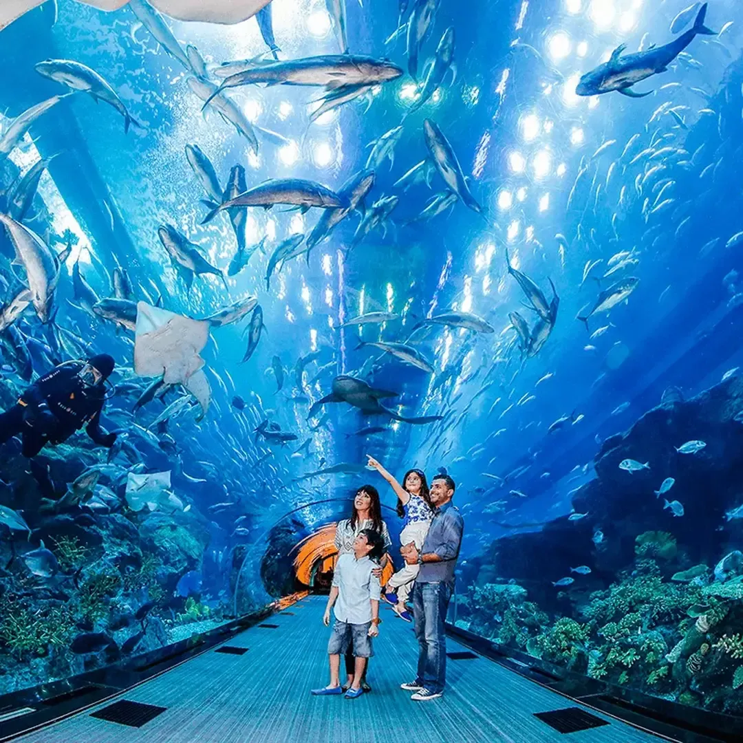 Dubai Aquarium and Underwater Zoo